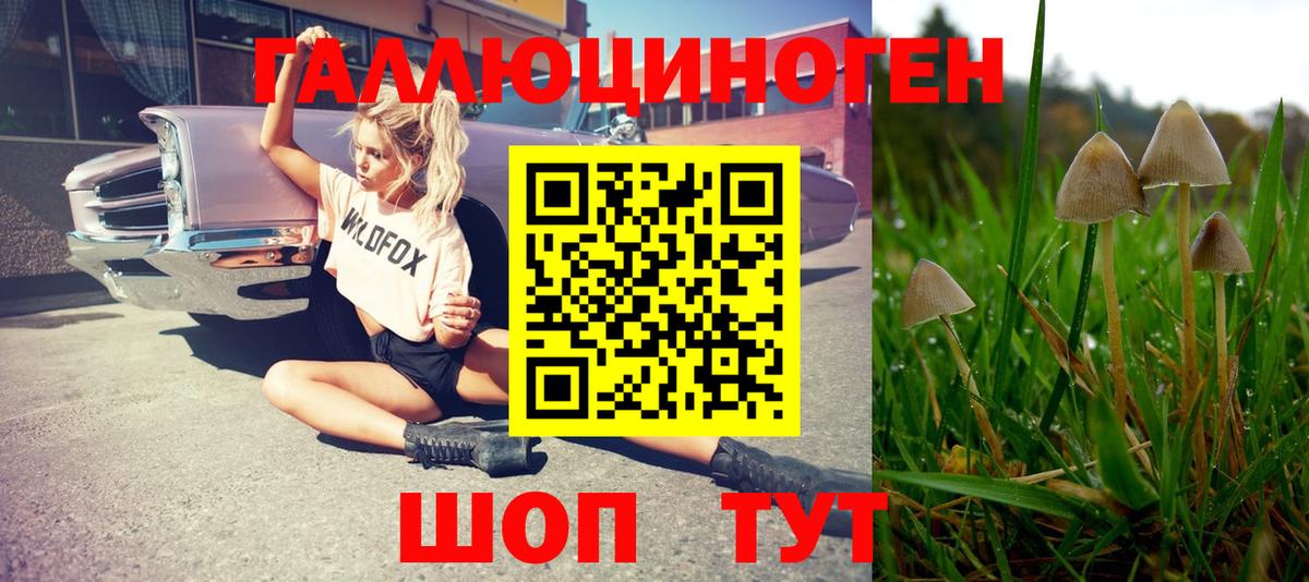 Галлюциногенные грибы ЛСД  Вход с VPN  Лабинск 