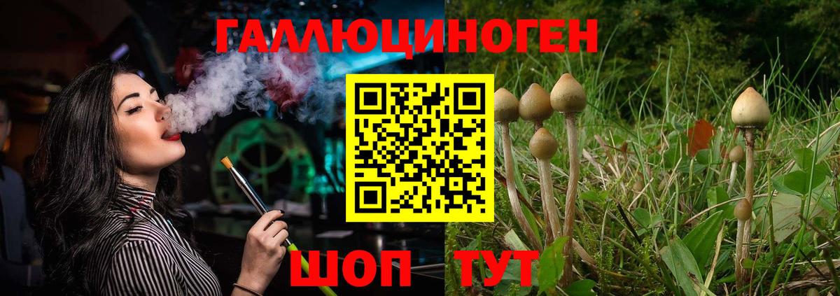 Псилоцибиновые грибы MAGIC MUSHROOMS Лабинск